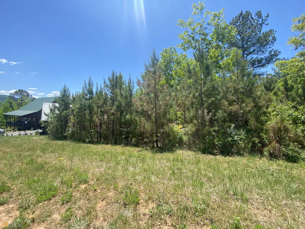 LT 55 Village Loop Blairsville, GA 30512