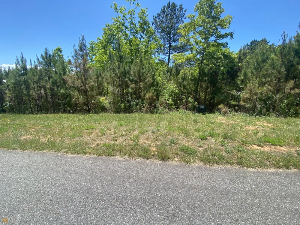 LT 55 Village Loop Blairsville, GA 30512