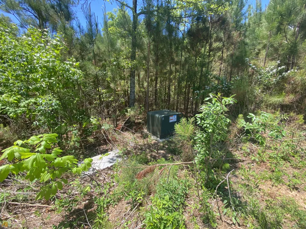 LT 55 Village Loop Blairsville, GA 30512