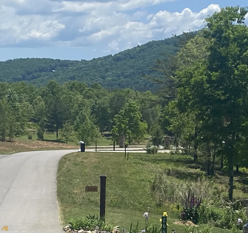 LT 55 Village Loop Blairsville, GA 30512