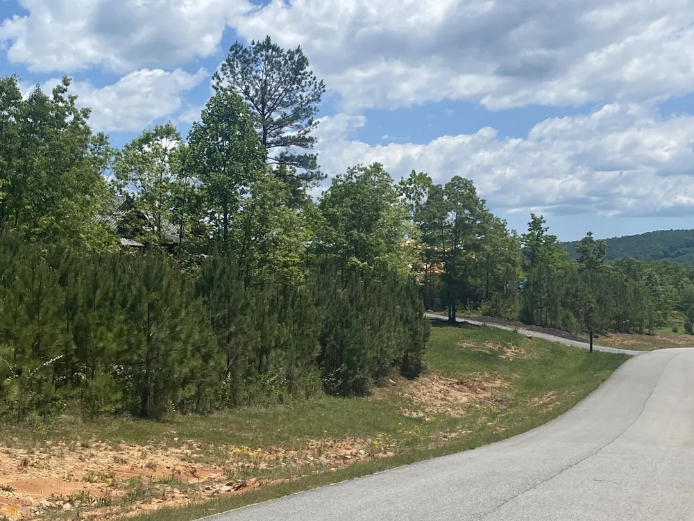 LT 55 Village Loop Blairsville, GA 30512