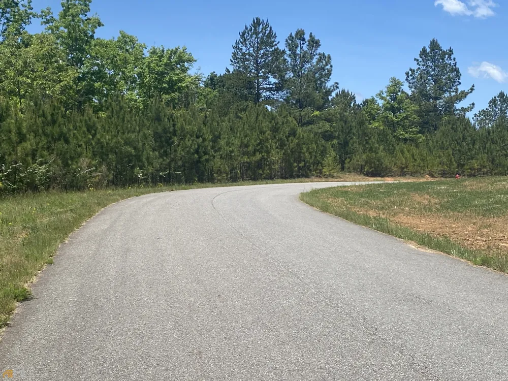 LT 55 Village Loop Blairsville, GA 30512