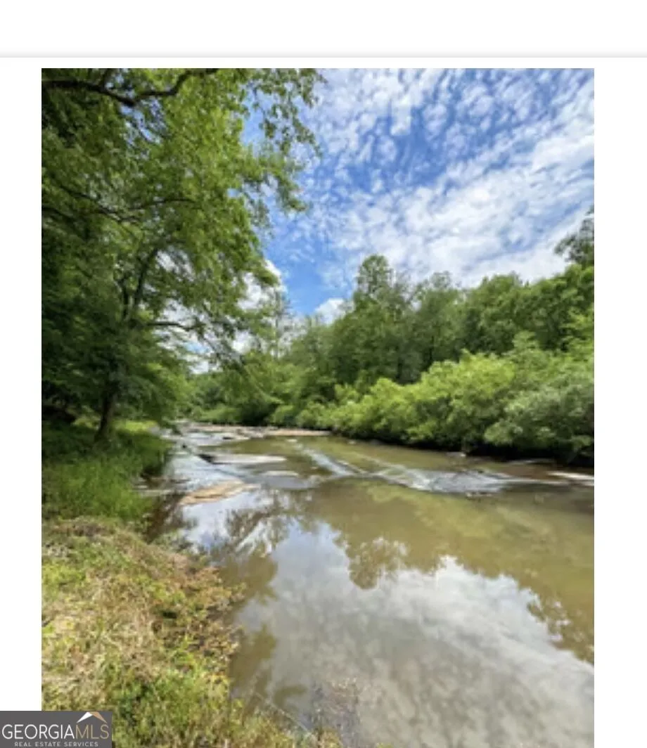 109 River Shoals Dr Forsyth, GA 31029