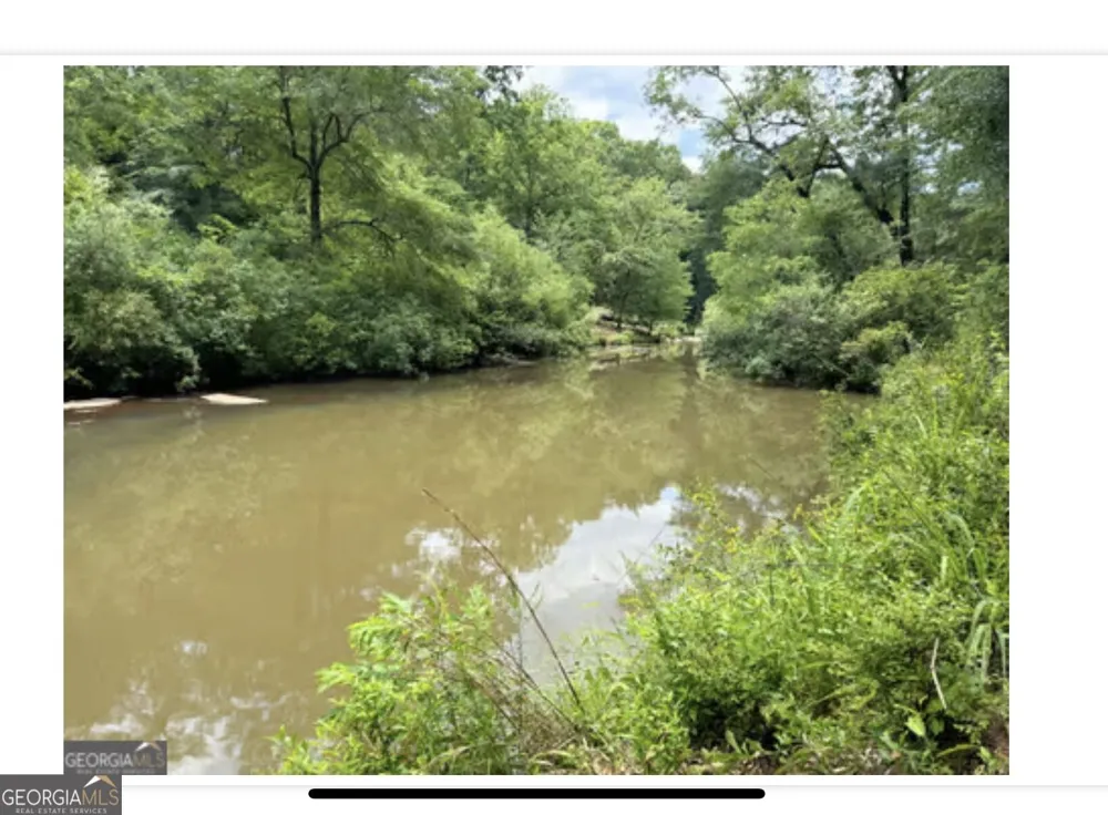 109 River Shoals Dr Forsyth, GA 31029