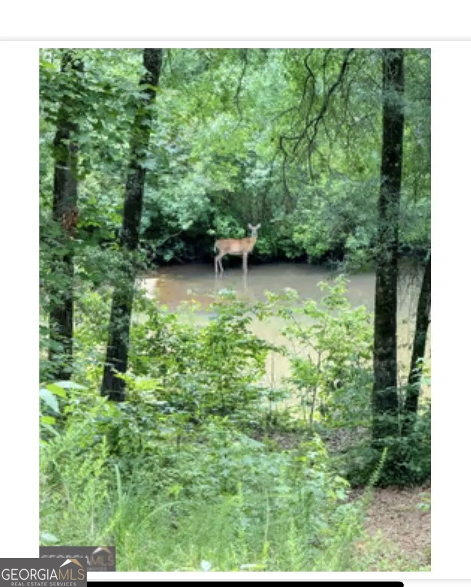 109 River Shoals Dr Forsyth, GA 31029
