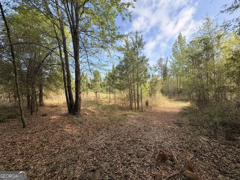 001 Old Poor Robin Tract 1 Sylvania, GA 30467