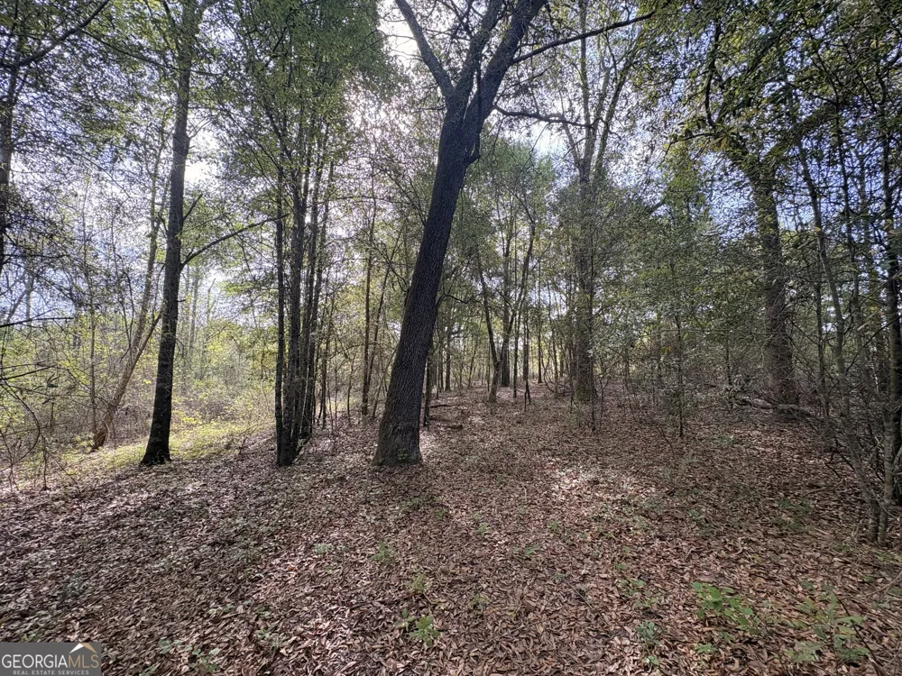 001 Old Poor Robin Tract 1 Sylvania, GA 30467