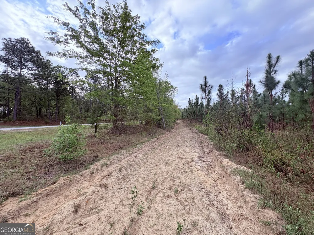 002 Old Poor Robin Tract 2 Sylvania, GA 30467