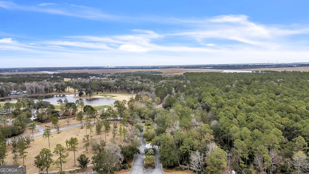 506 Blue Heron TRL Waverly, GA 31565