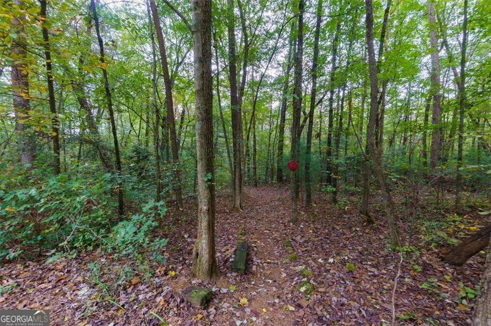 67 Ballard LN Ellijay, GA 30536