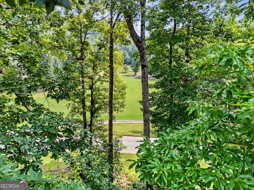 251 Shakespeare DR Clayton, GA 30525