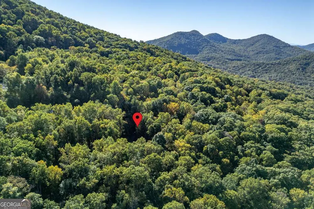 7 Spring RD Blairsville, GA 30512