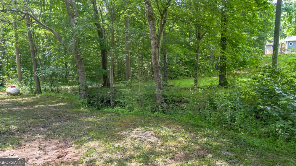 315 Woodland AVE Roanoke, AL 36274