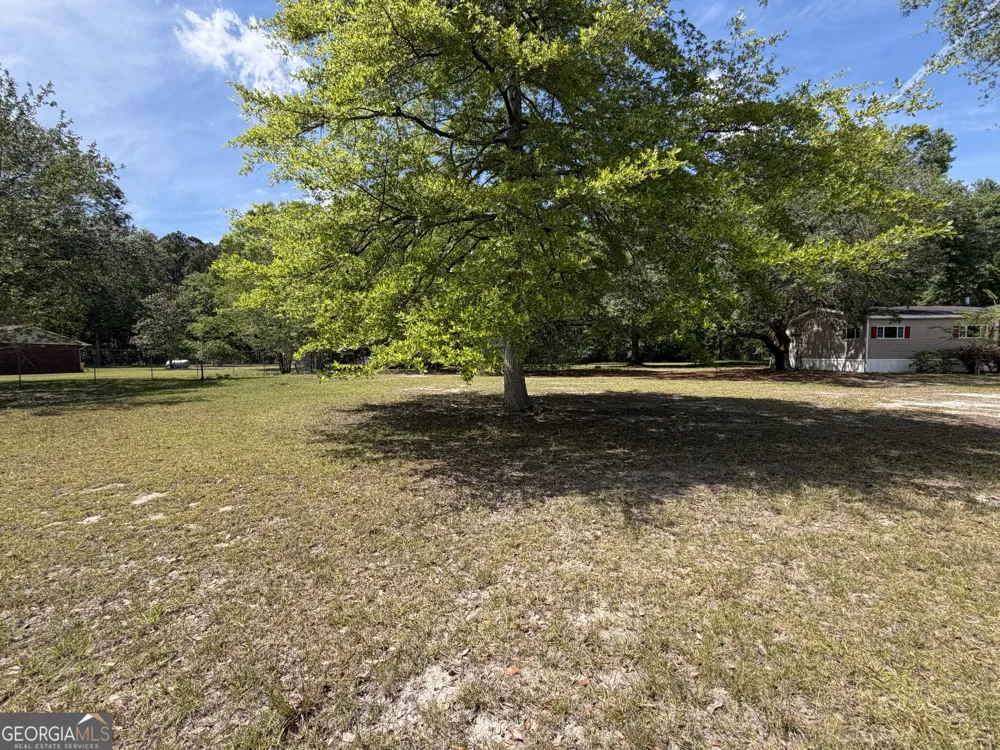 2 Buckboard TRL Jesup, GA 31546