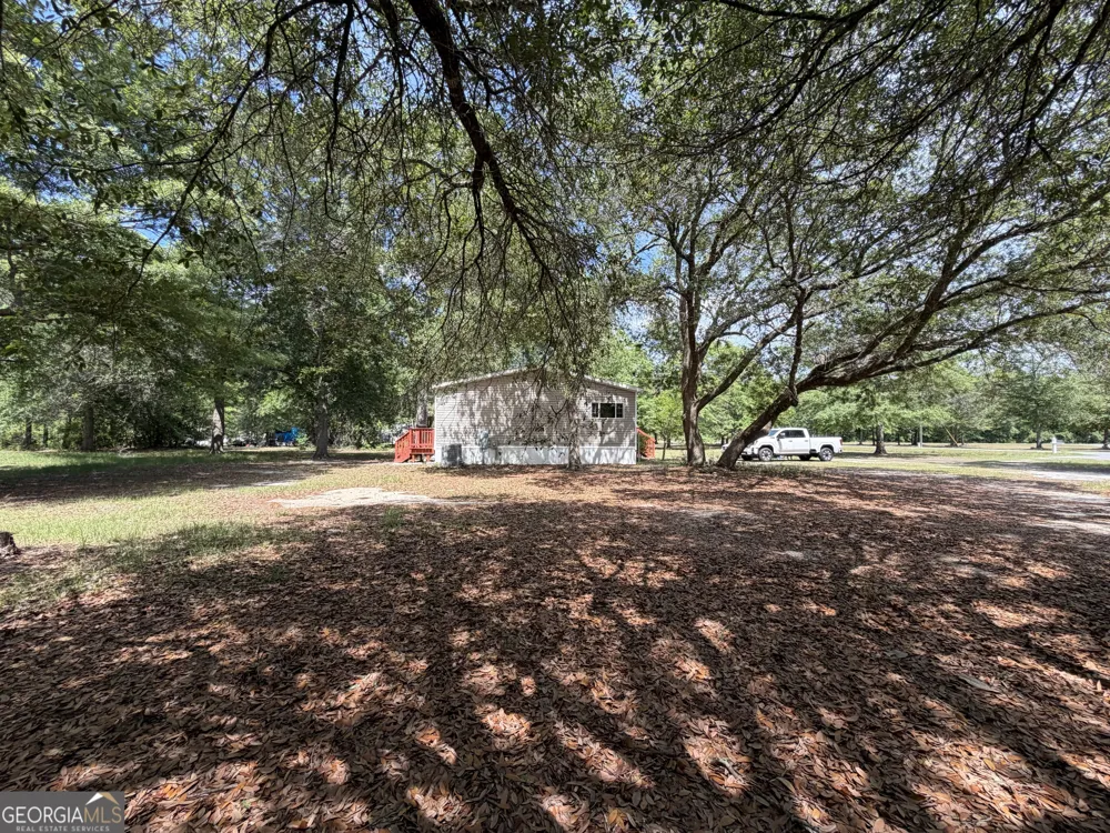 2 Buckboard TRL Jesup, GA 31546