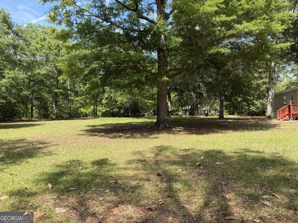 2 Buckboard TRL Jesup, GA 31546
