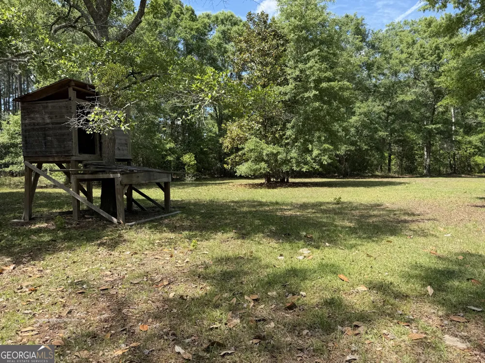 2 Buckboard TRL Jesup, GA 31546