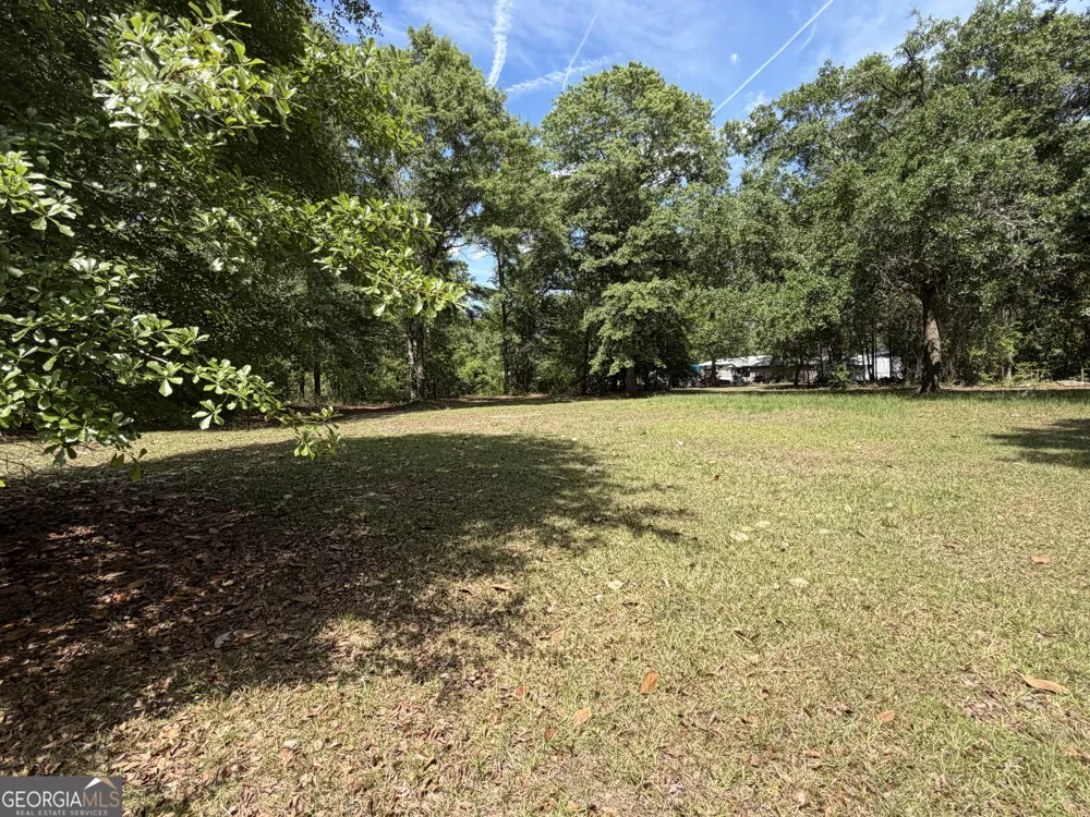 2 Buckboard TRL Jesup, GA 31546