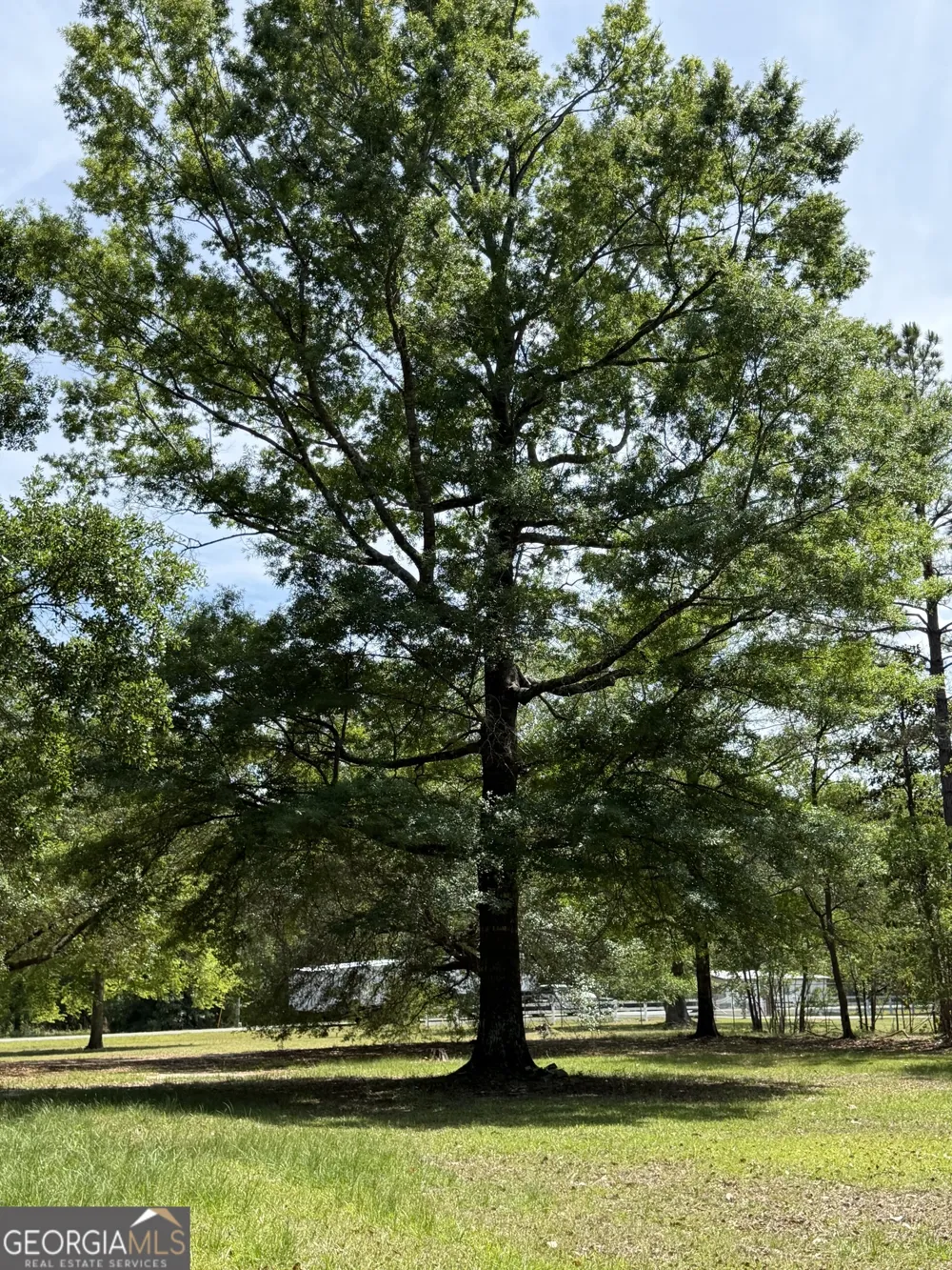 2 Buckboard TRL Jesup, GA 31546