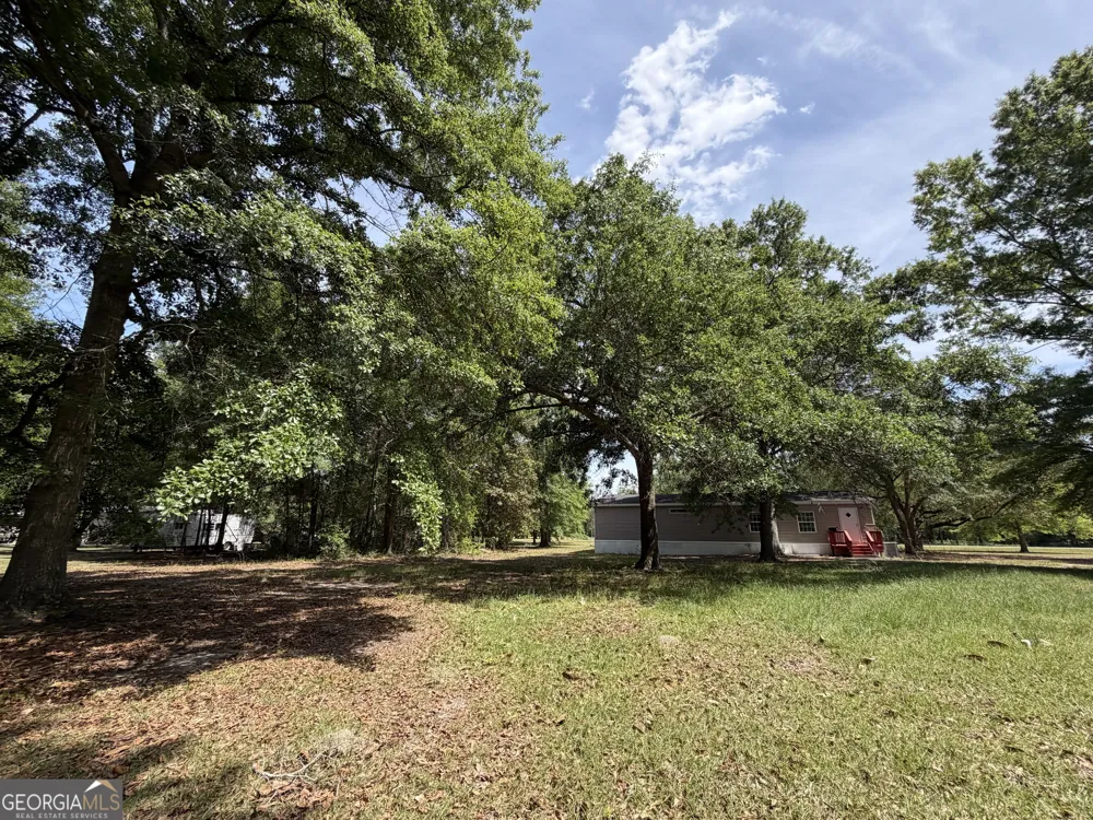 2 Buckboard TRL Jesup, GA 31546