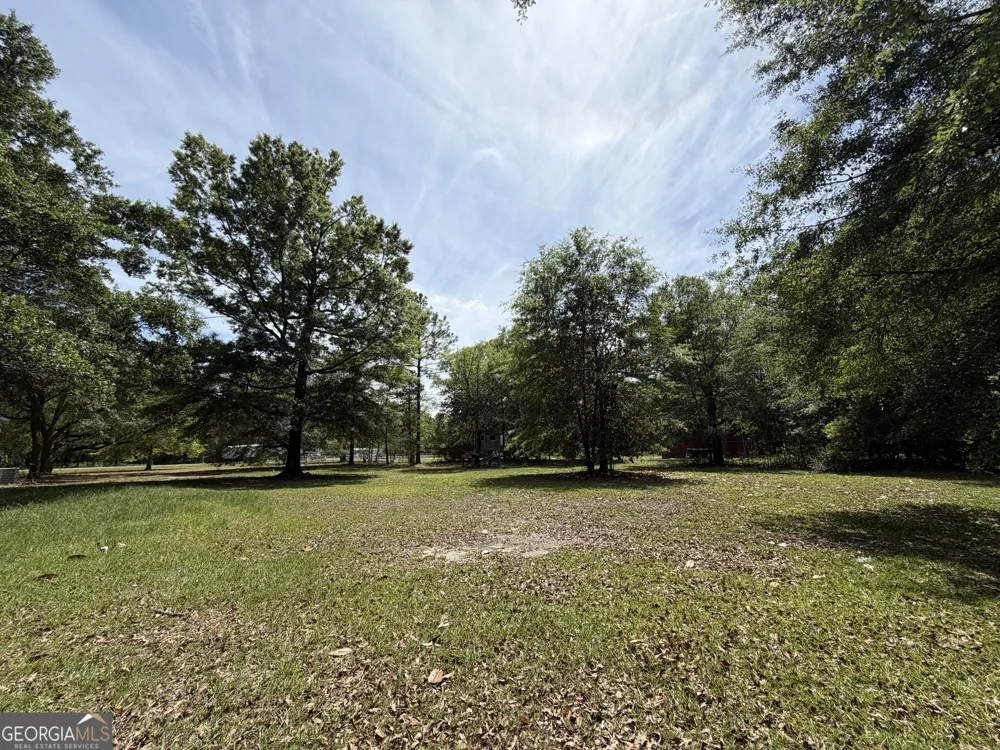 2 Buckboard TRL Jesup, GA 31546