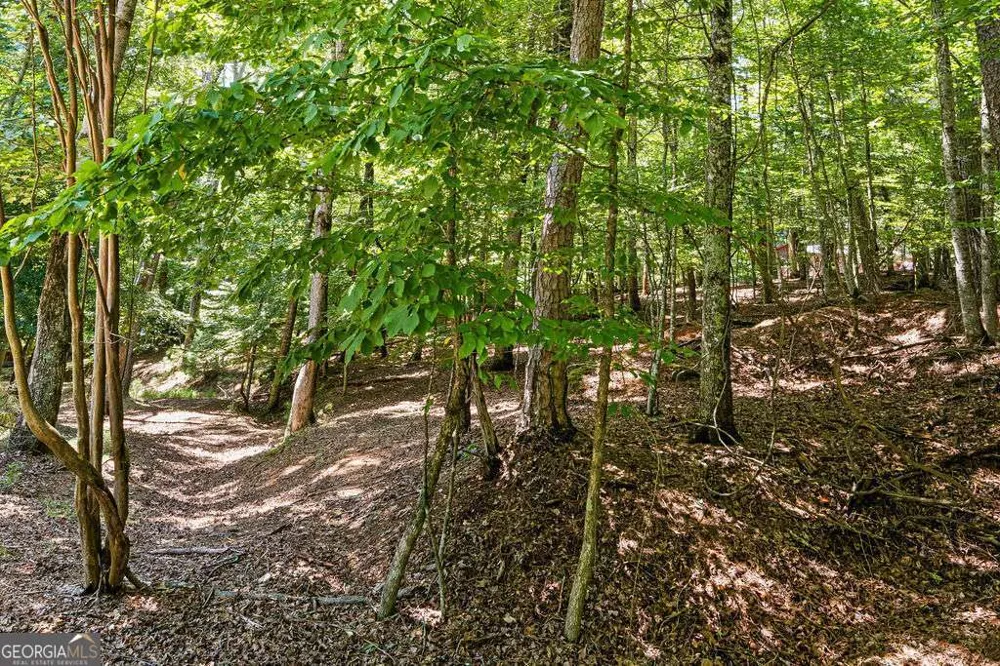1247 Newport DR Ellijay, GA 30540