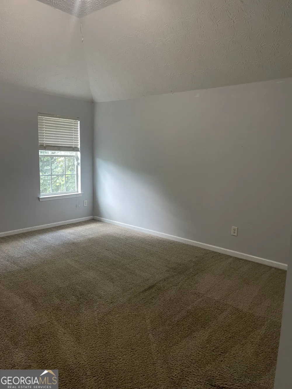 11053 Aliyah DR Hampton, GA 30228