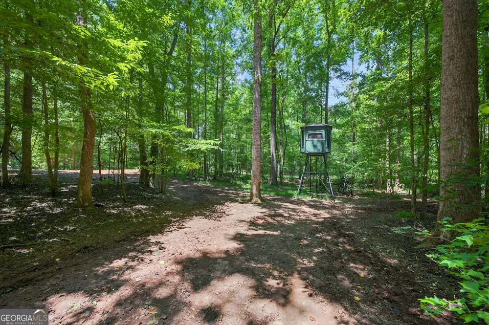 1050 Cedar Grove DR Buckhead, GA 30625