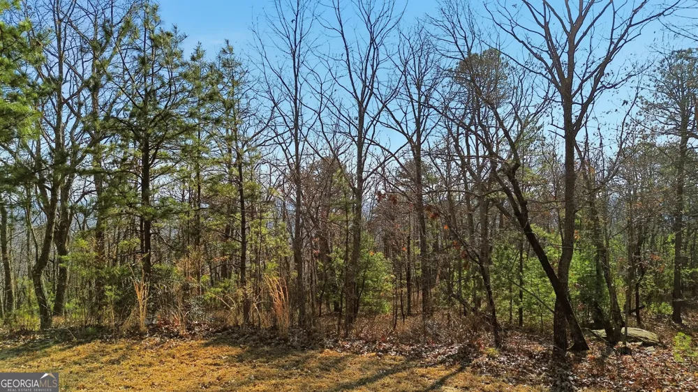 0 Mountain Sweet DR Clarkesville, GA 30523