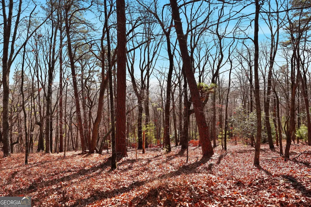 0 Mountain Sweet DR Clarkesville, GA 30523