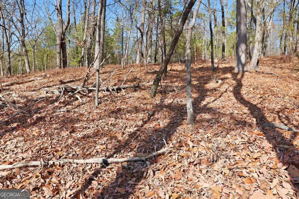0 Mountain Sweet DR Clarkesville, GA 30523