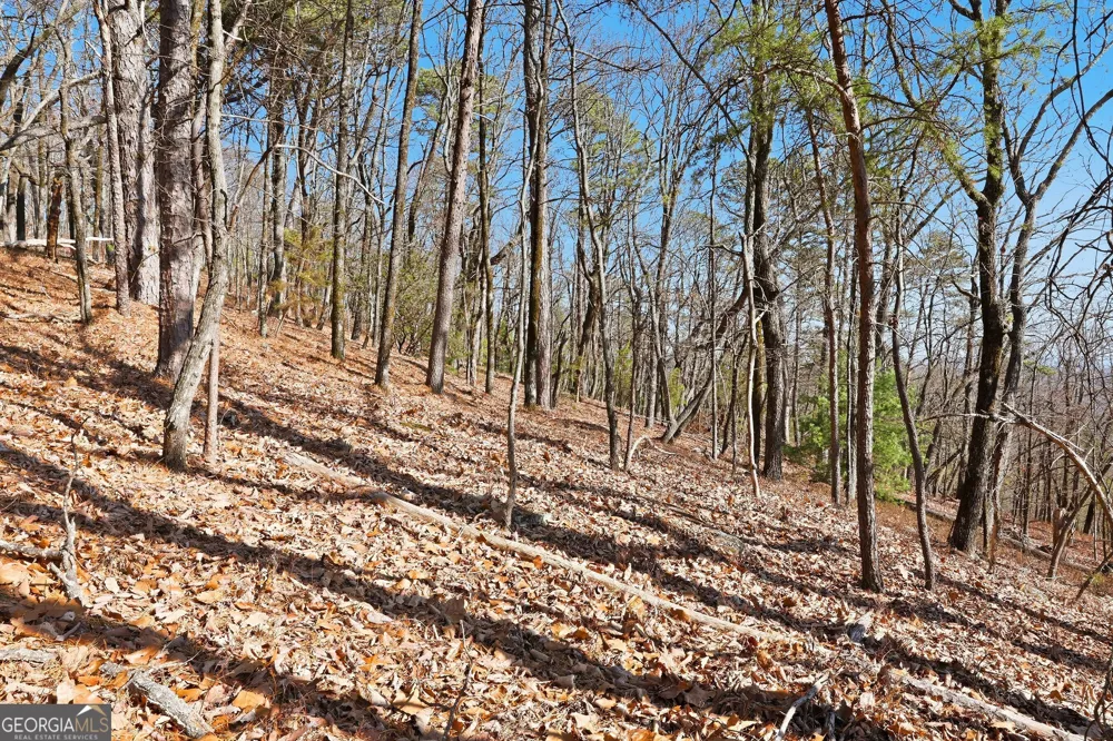 0 Mountain Sweet DR Clarkesville, GA 30523