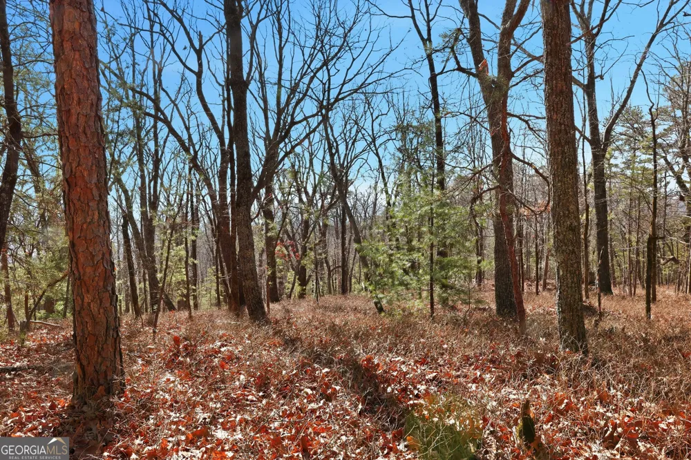 0 Mountain Sweet DR Clarkesville, GA 30523