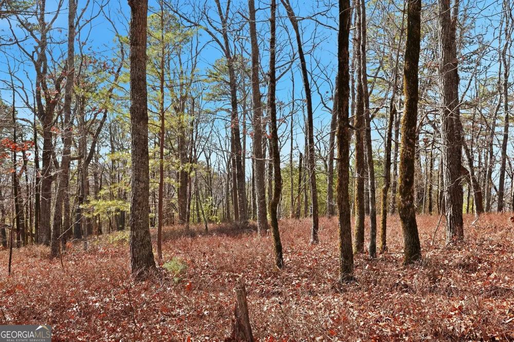 0 Mountain Sweet DR Clarkesville, GA 30523