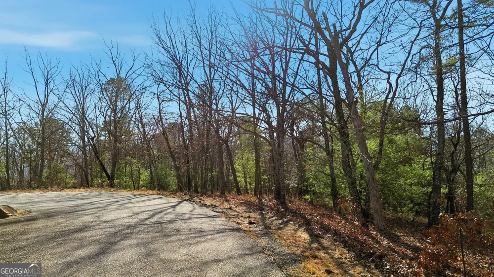 LOT 58 Mountain Sweet DR Clarkesville, GA 30523