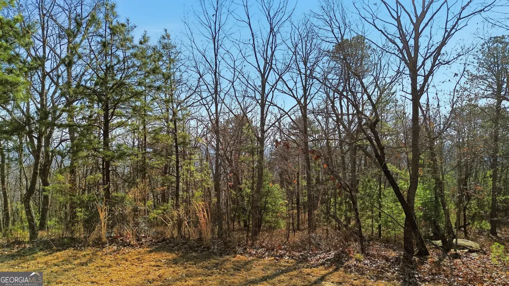 LOT 58 Mountain Sweet DR Clarkesville, GA 30523
