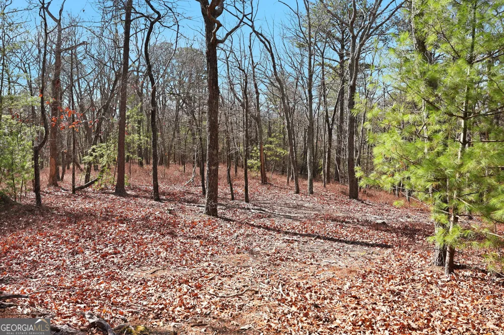 LOT 58 Mountain Sweet DR Clarkesville, GA 30523