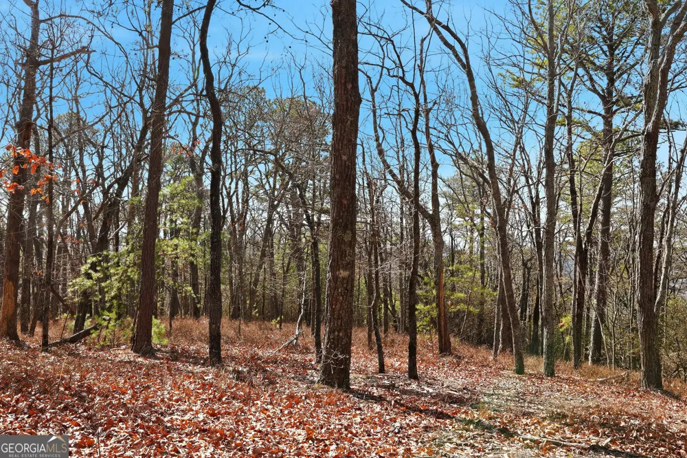 LOT 58 Mountain Sweet DR Clarkesville, GA 30523