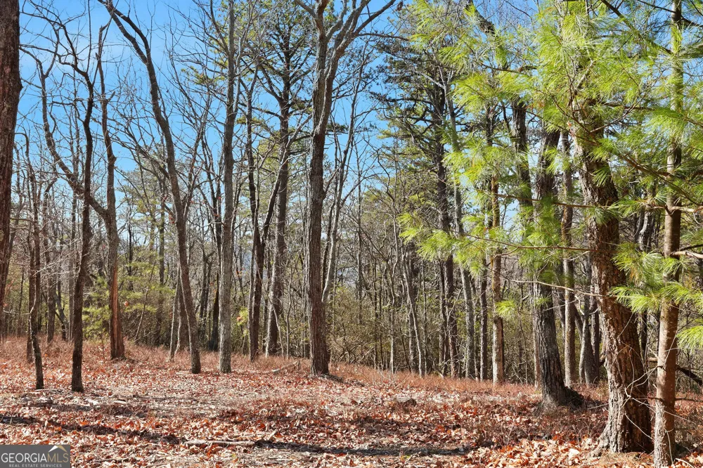 LOT 58 Mountain Sweet DR Clarkesville, GA 30523