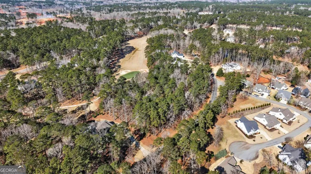 1841 Osprey Poynte Greensboro, GA 30642