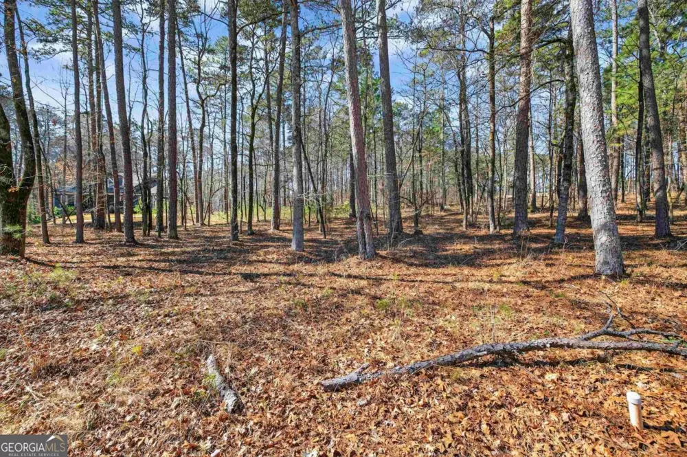 1841 Osprey Poynte Greensboro, GA 30642
