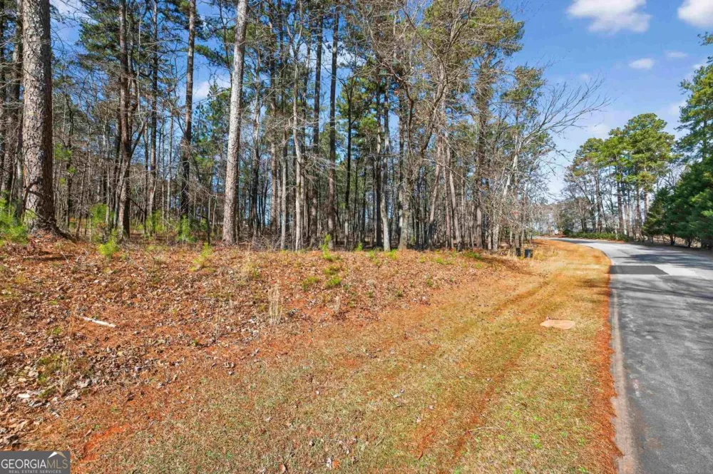 1841 Osprey Poynte Greensboro, GA 30642