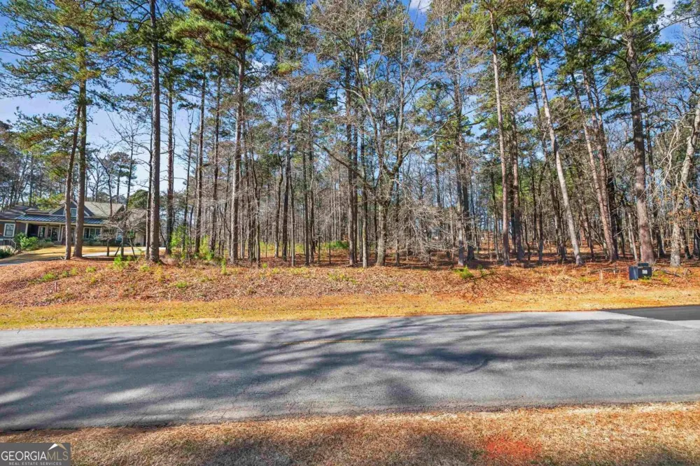 1841 Osprey Poynte Greensboro, GA 30642