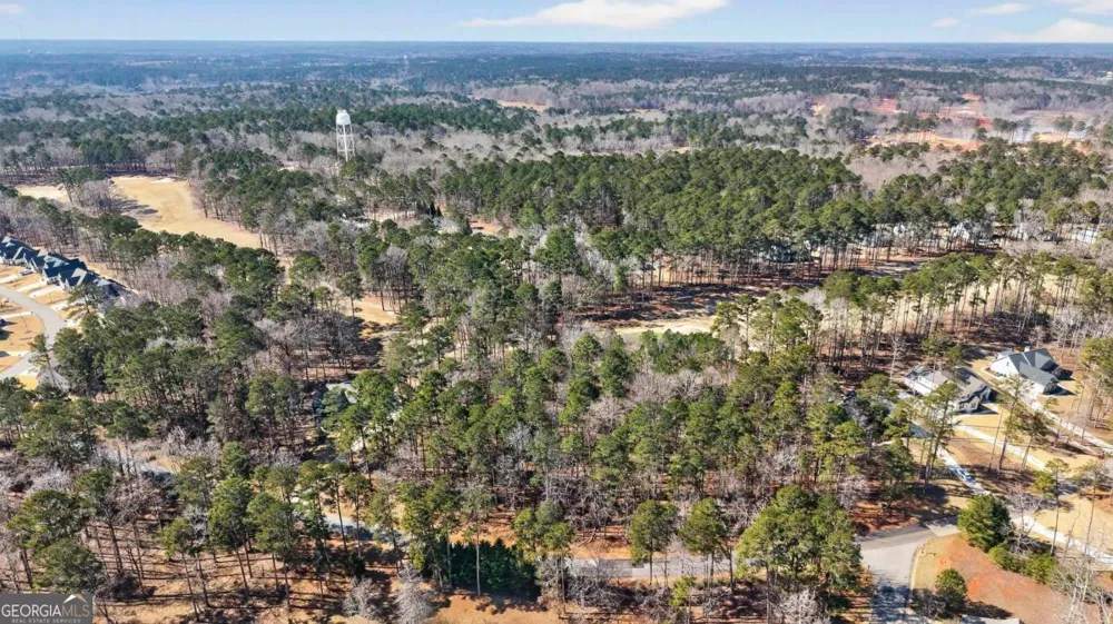 1841 Osprey Poynte Greensboro, GA 30642