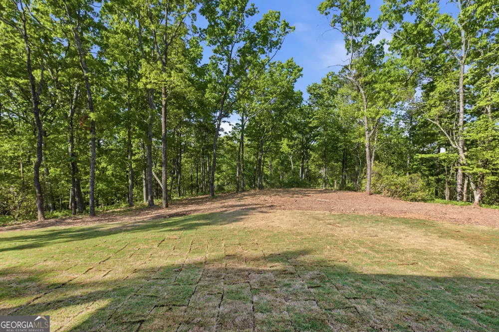 110 Fall Pippin CT Clarkesville, GA 30523