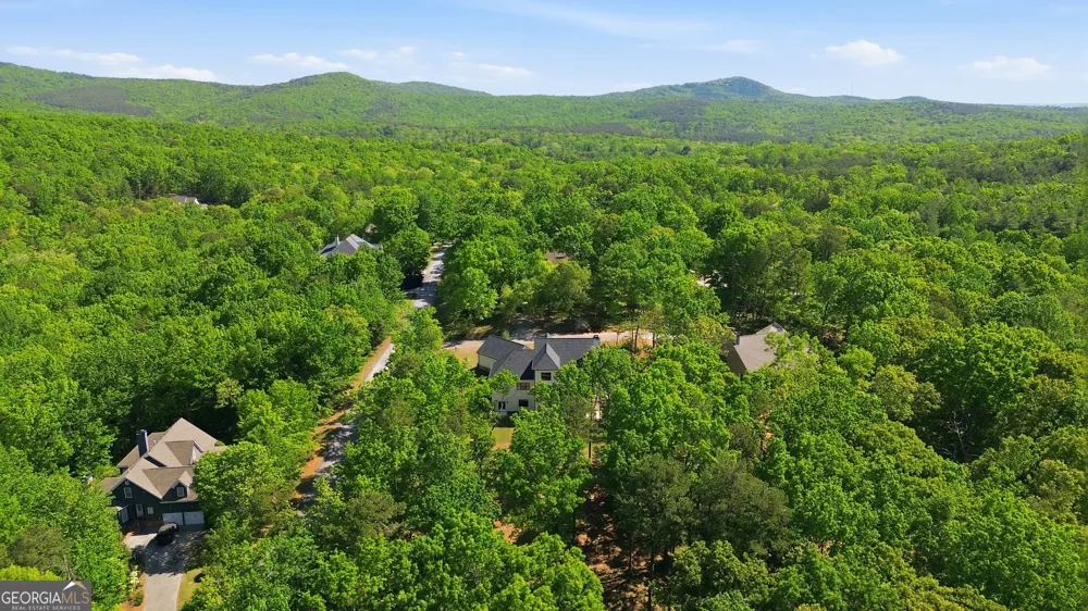 110 Fall Pippin CT Clarkesville, GA 30523