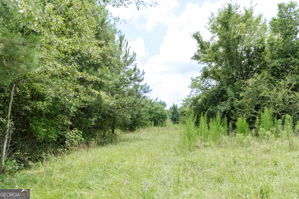 348 Americus HWY Butler, GA 31006