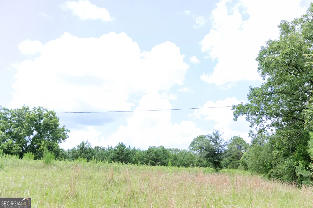 348 Americus HWY Butler, GA 31006
