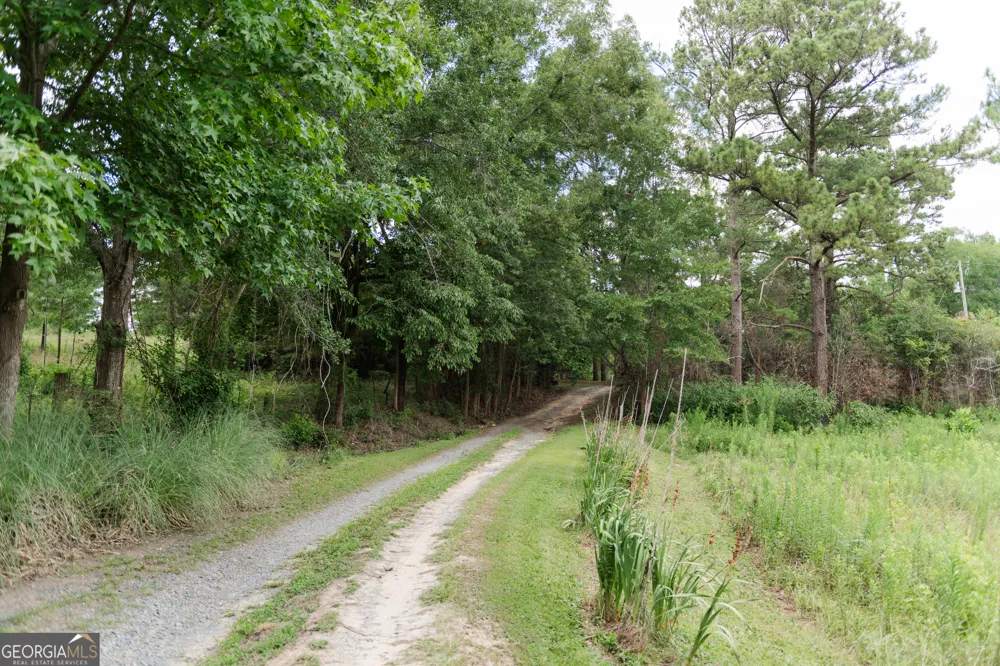 348 Americus HWY Butler, GA 31006