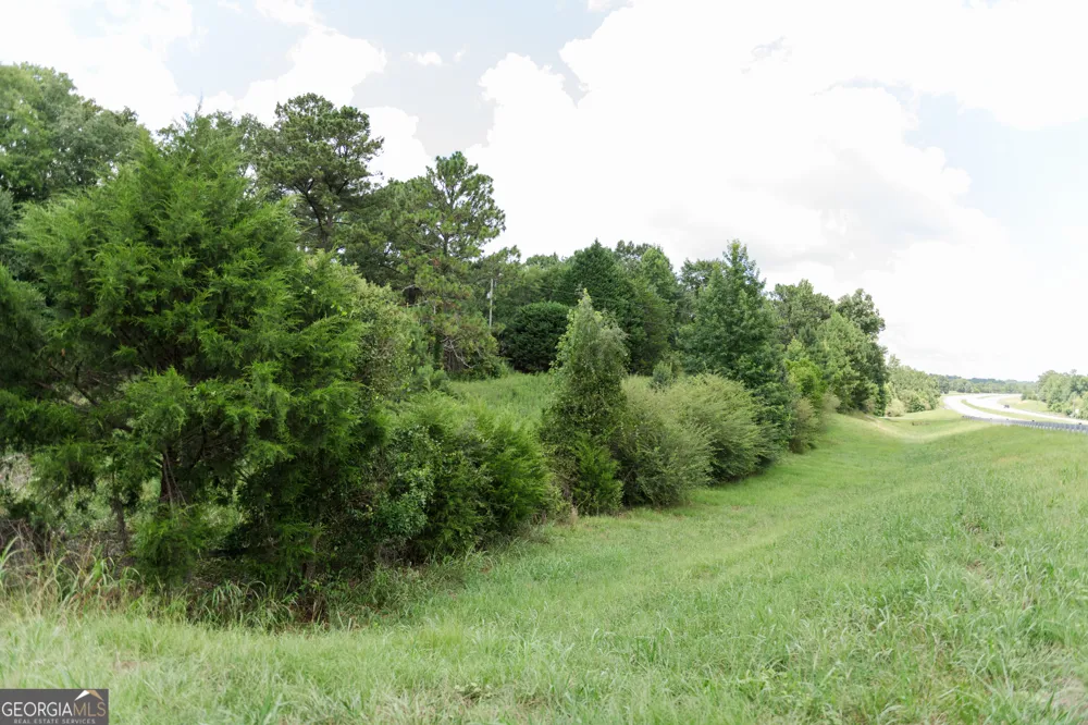 348 Americus HWY Butler, GA 31006